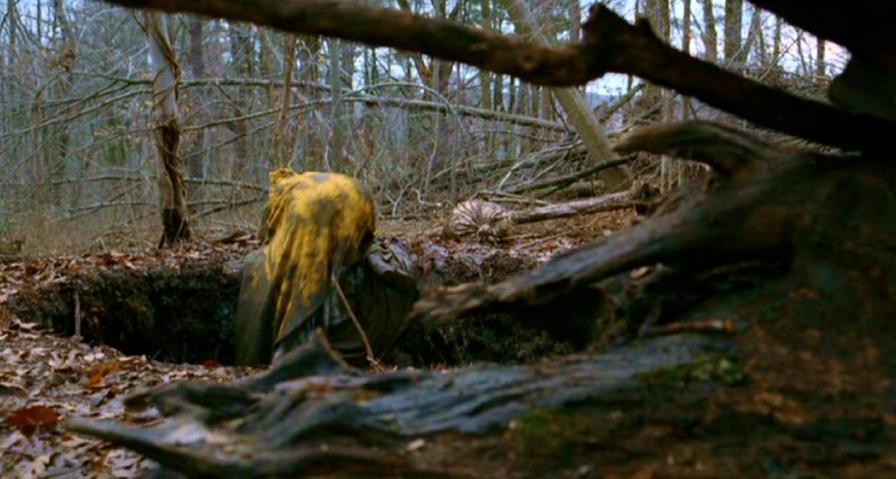 PDVD_397.jpg