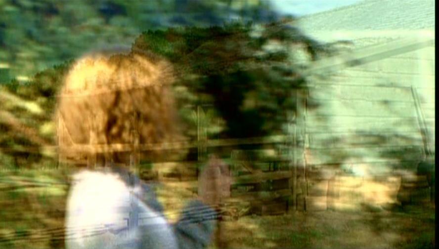 PDVD_005.jpg