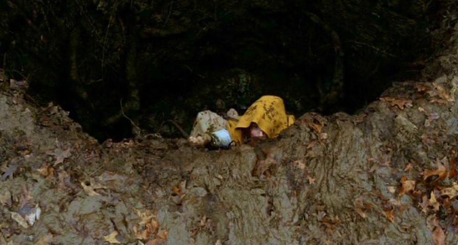 PDVD_394.jpg