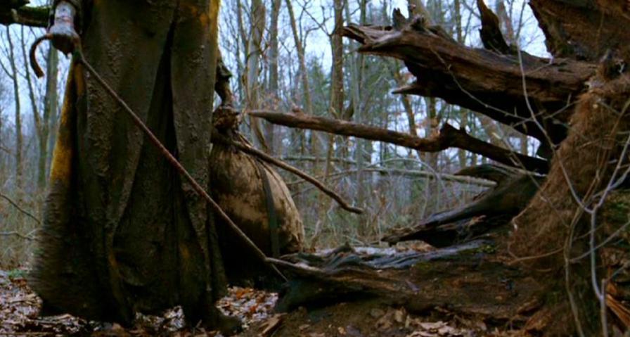 PDVD_400.jpg