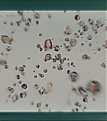 BlackMirror_2876229.jpg
